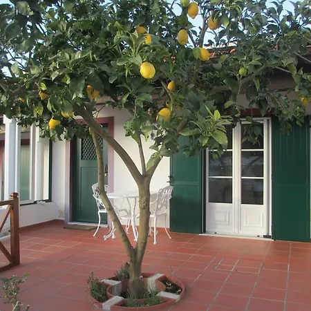 Semesterbostad Casa Do Limoeiro