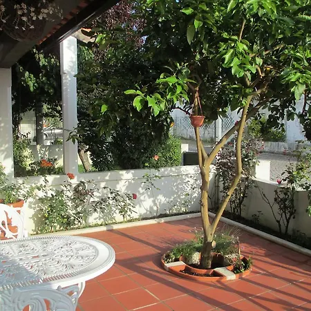 Casa Do Limoeiro Semesterbostad Óbidos