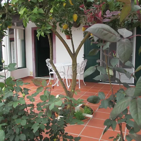 Semesterbostad Casa Do Limoeiro Óbidos