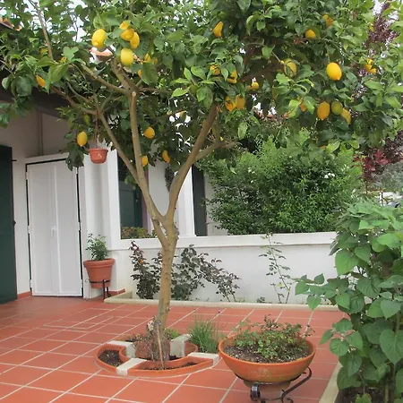 Semesterbostad Casa Do Limoeiro *