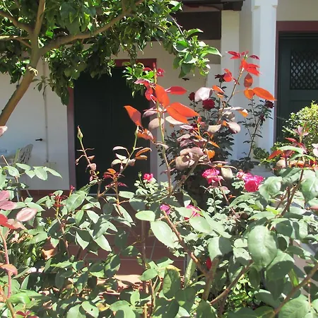 Semesterbostad Casa Do Limoeiro