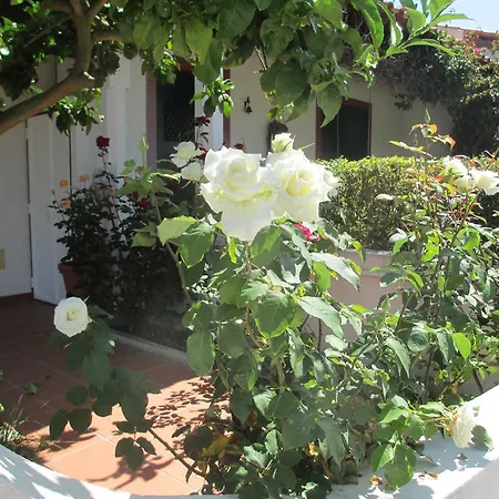 Casa Do Limoeiro *